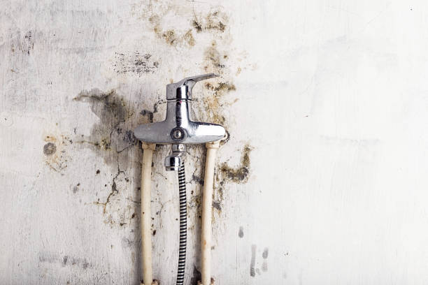 Best Mold Remediation Experts  in Bedford, TX