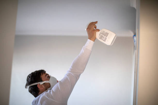 Mold Removal Process in Bedford, TX