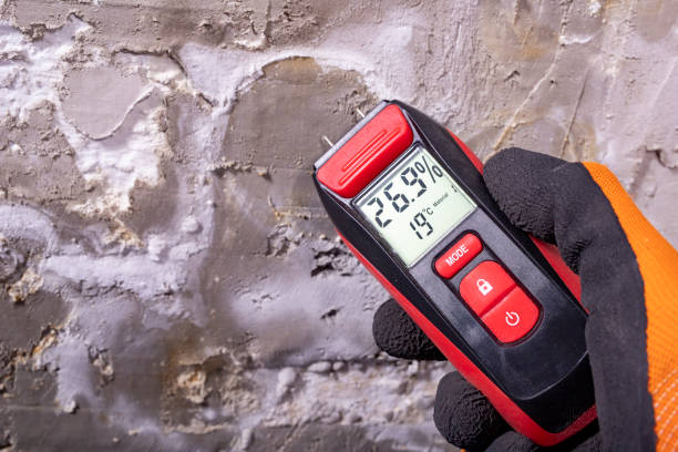 Best Office Mold Removal Services  in Bedford, TX
