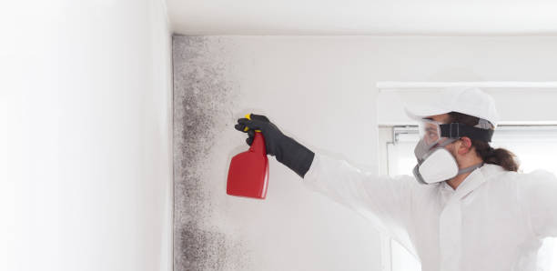 Bedford, TX Mold Removal Company