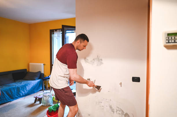 Best Mold Damage Repair  in Bedford, TX