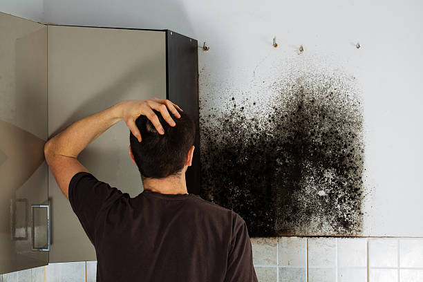 Best Emergency Mold Removal  in Bedford, TX